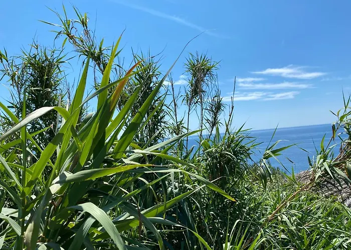 Brig 36 빌라 프레멘투라