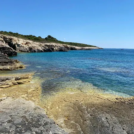 Brig 36 プレマントゥーラ