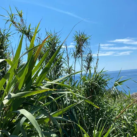 Brig 36 ヴィラ プレマントゥーラ